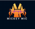 Mickey Mic Store